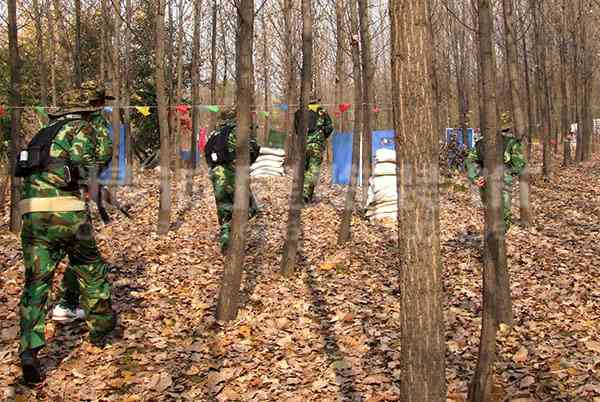 咸陽博物館設(shè)計